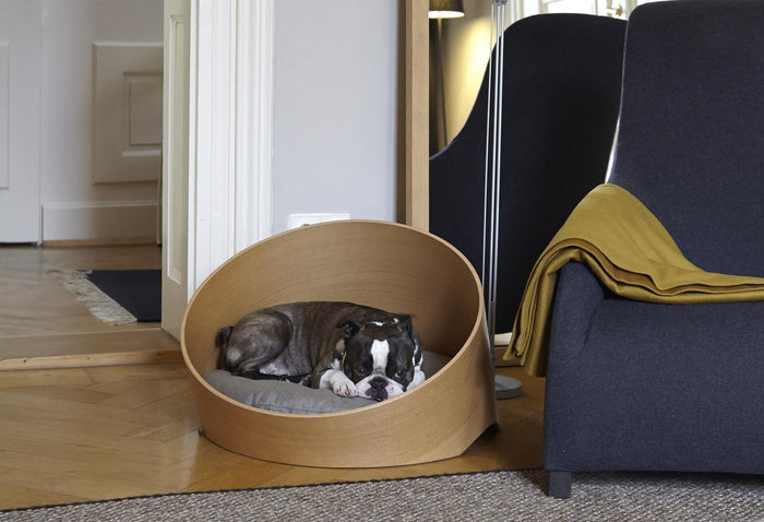 673e9fee-dd16-43ae-86f4-2b4c8d9c21f4-afbeelding6.jpg (10653329) 