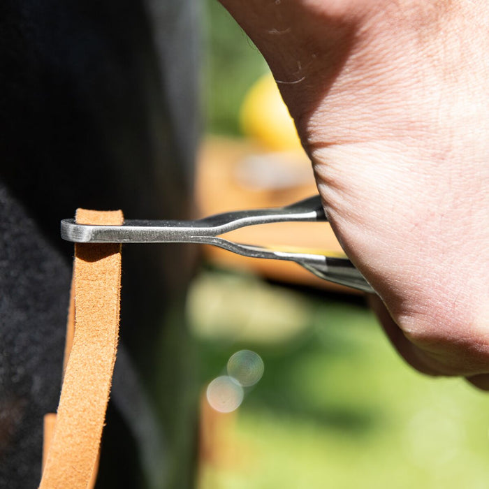 6ed80f87-4e46-4ae4-a430-6bfd8824928f-afbeelding6.jpg (10653355) 