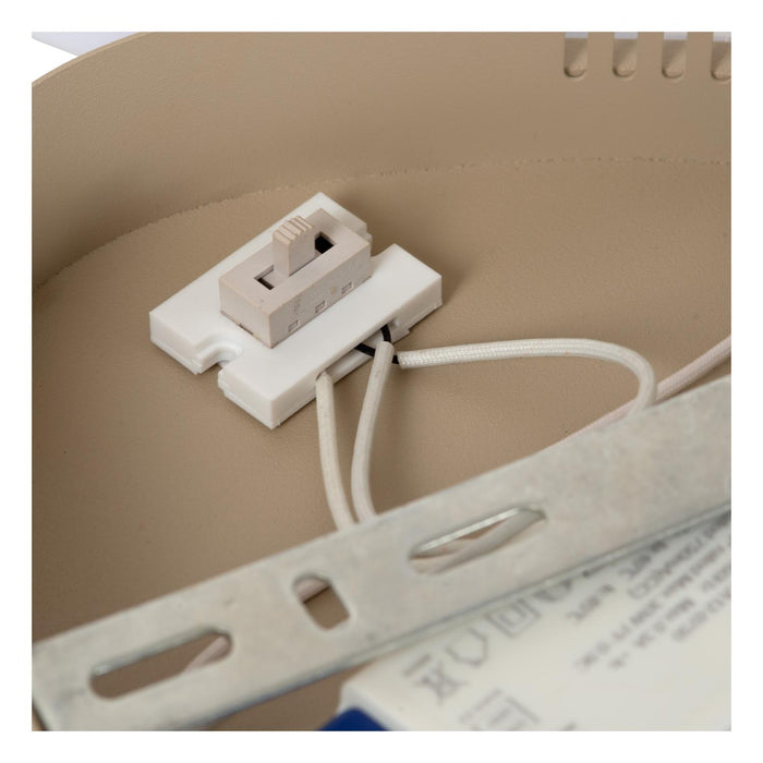 1153454a-561c-4031-b89a-7061d431a7bf-afbeelding8.jpg (10654392) 