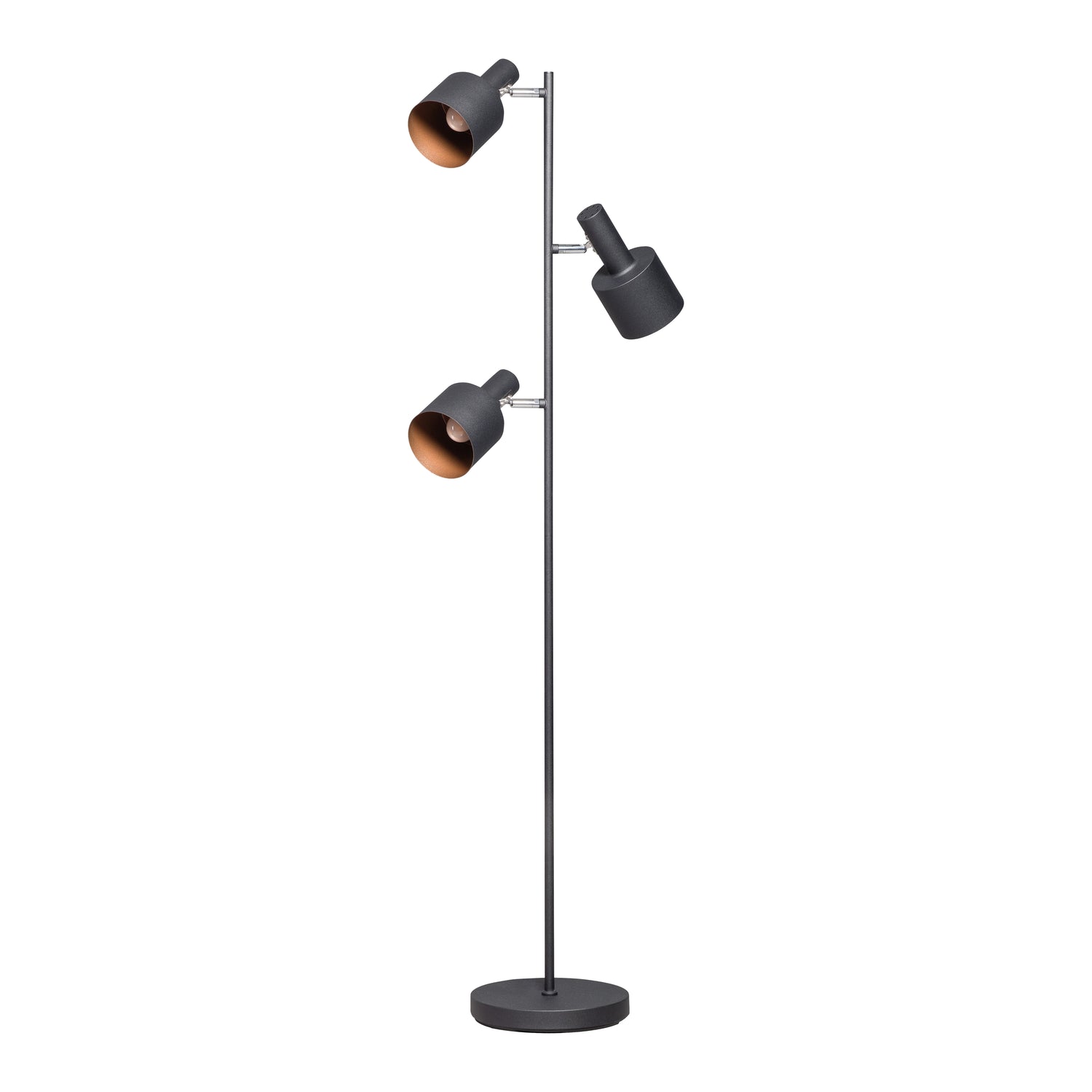 275028-x0.jpg (1099871) 