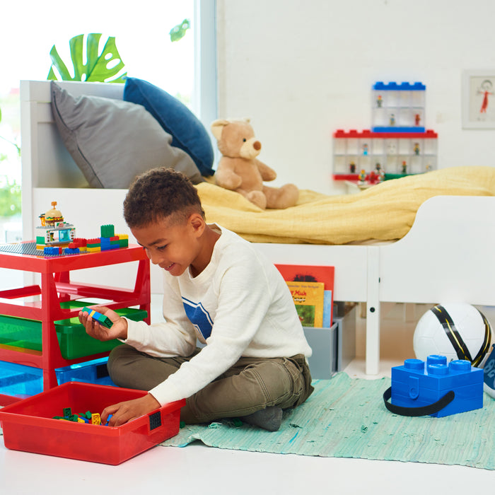 LEGO Iconic Opberglade