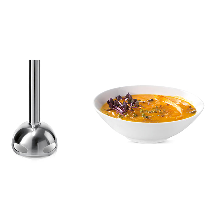 Bosch MS6CB61V1 ErgoMixx Vacuum Staafmixer