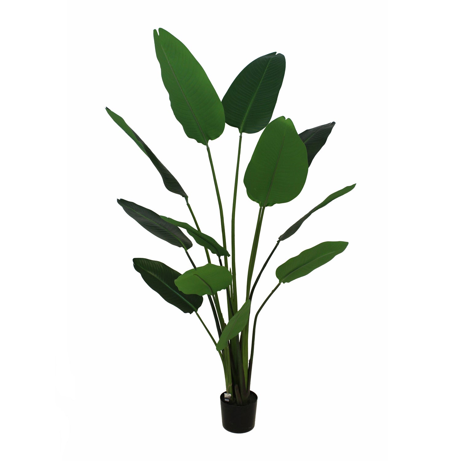 Van der Leeden Strelitzia Kunstplant