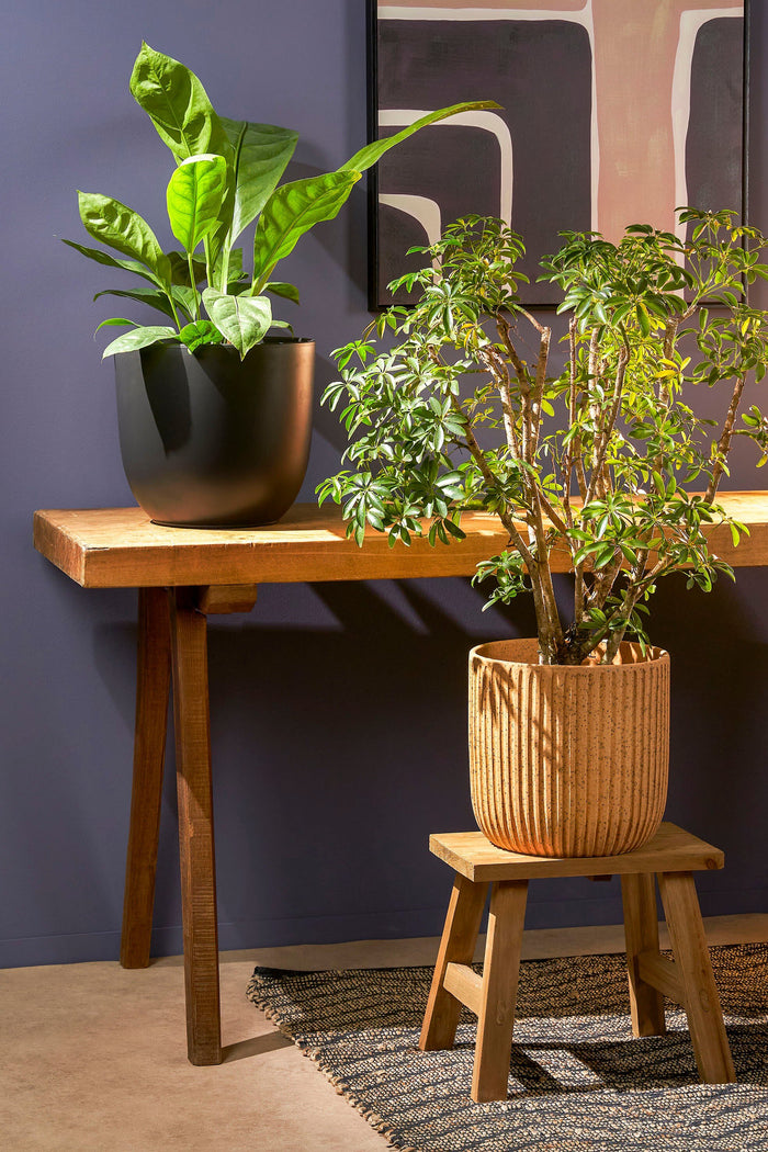 Mica Decorations Bold Houten Krukje - L38 cm - Gerecycled Hout