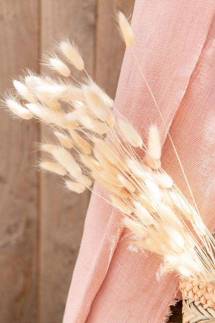 J-Line droogbloemen - Bundel Pluim Hazenstaart - riet - ecru