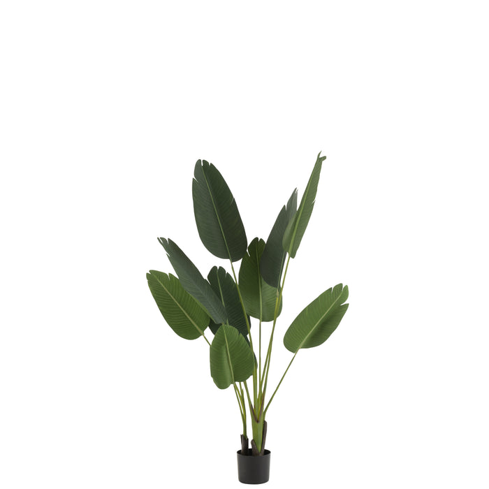J-Line plant Strelitzia - kunststof - groen - small