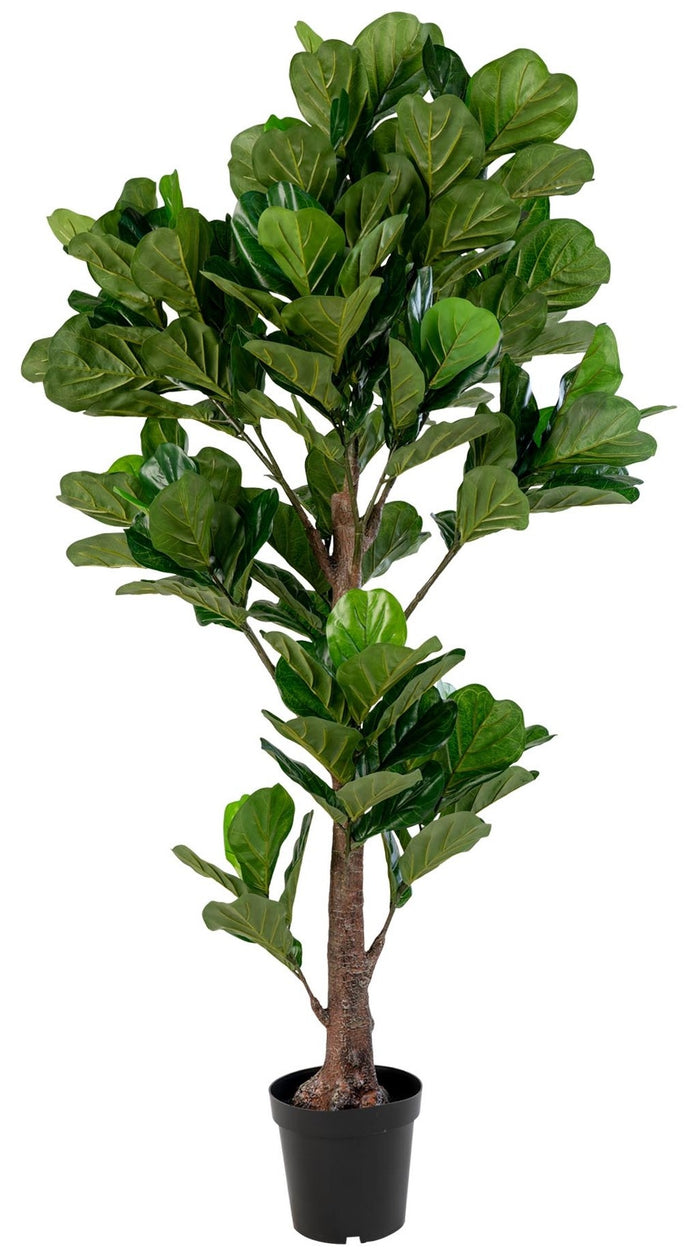 House Nordic Fiddle Bladboom Kunstplant H190 cm