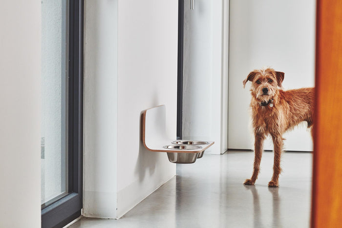 Arco hondenvoerbak wand medium|large grijs