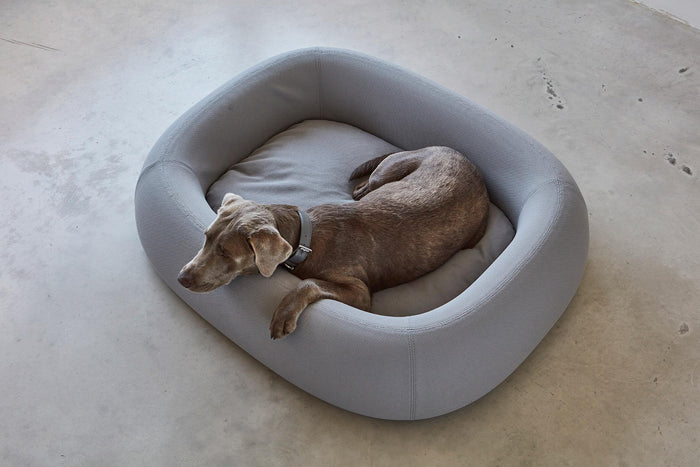 Barca hondenmand small|medium slate