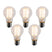 LUEDD Set van 5 Smart E27 dimbaar in Kelvin LED lampen A60 helder 7W