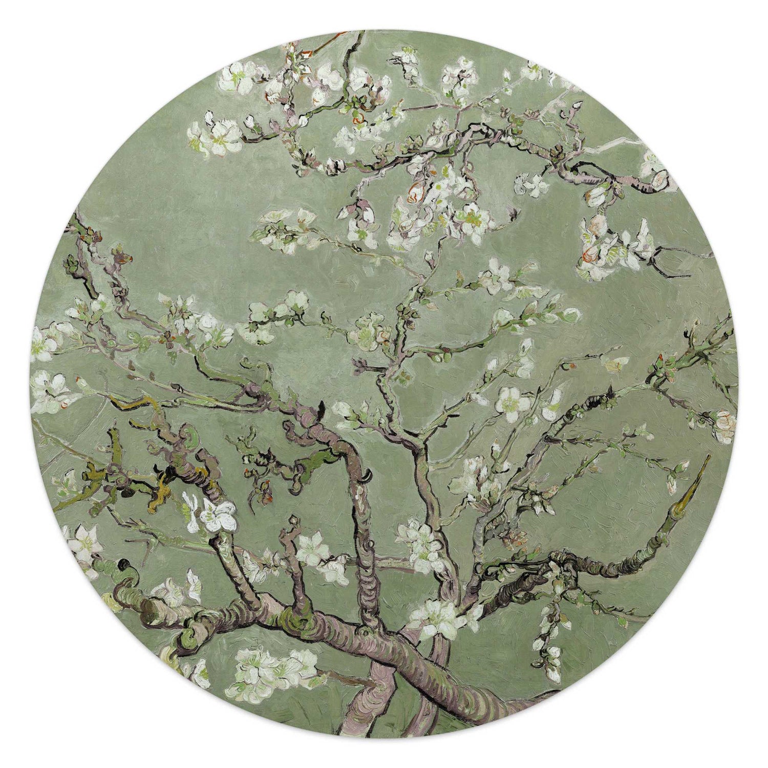 Reinders - Van Gogh - Amandelbloesem - Glasschilderij Ø 50 cm - Groen