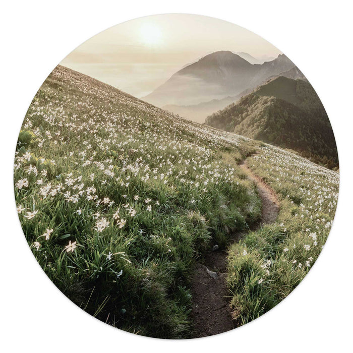 Reinders - Bergbloei in de ochtendzon - Glasschilderij Ø 50 cm - Groen