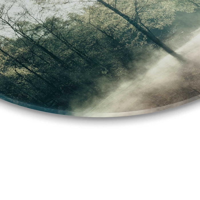 Reinders - Zon door de boom - Glasschilderij Ø 50 cm - Groen