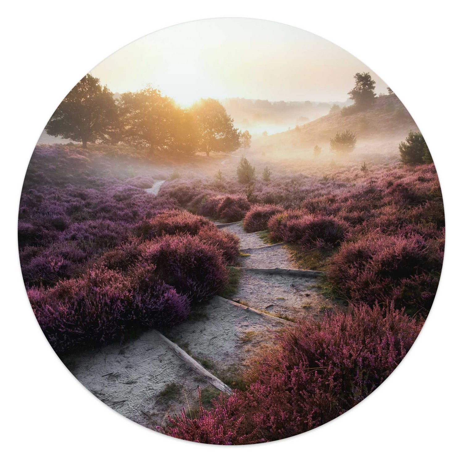 Reinders - Wandelpad langs de heide - Glasschilderij Ø 50 cm - Paars