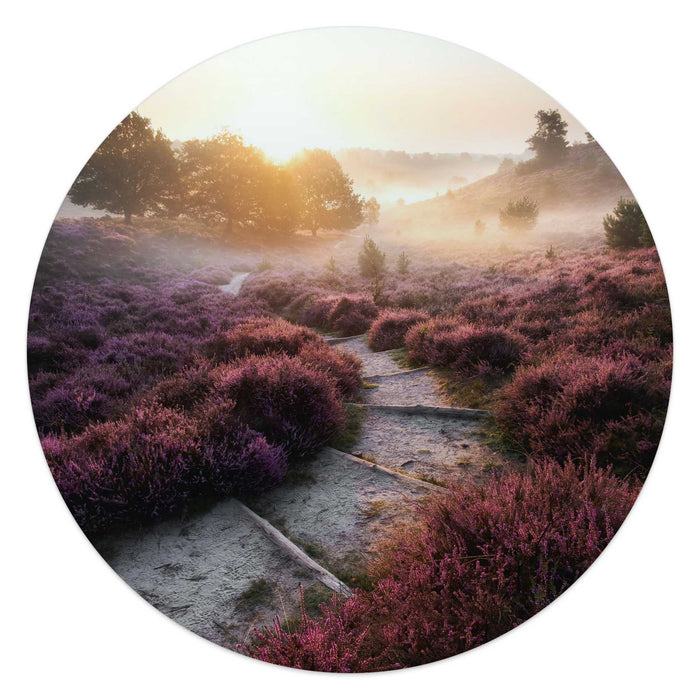 Reinders - Wandelpad langs de heide - Glasschilderij Ø 50 cm - Paars
