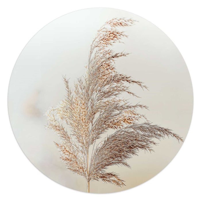 Reinders - Pluim in de wind - Glasschilderij Ø 50 cm - Beige