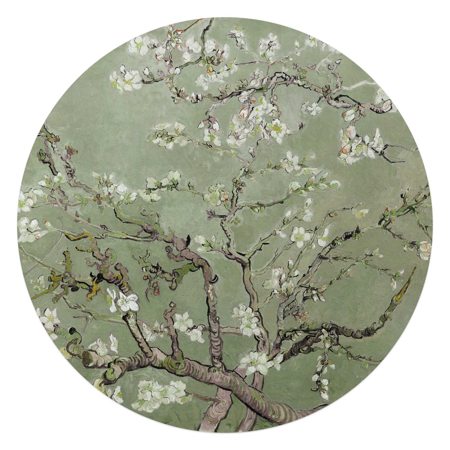 Reinders - Van Gogh - Amandelbloesem - Glasschilderij Ø 70 cm - Groen