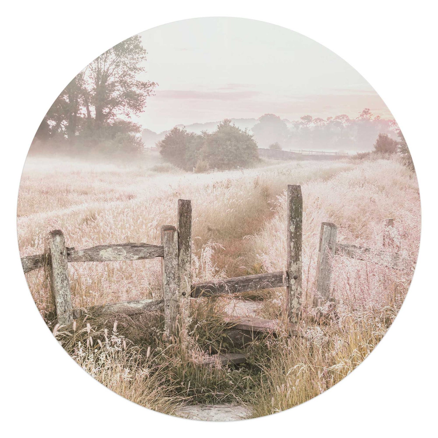 Reinders - Ochtenddauw in de weide - Glasschilderij Ø 70 cm - Beige