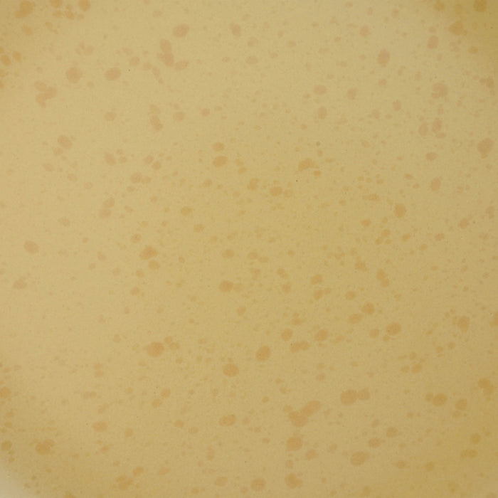 by fonQ  Pebbled Serviesset 24-delig - Golden Moss