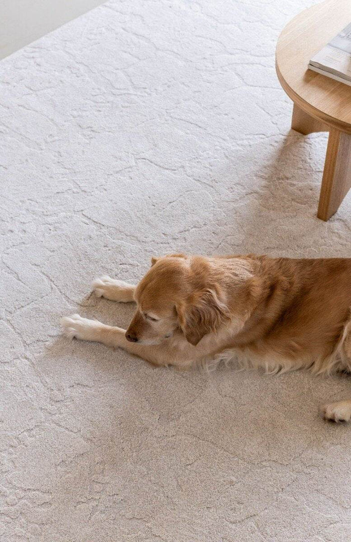 Interieur05 Vloerkleed Cairt Wit|Creme - 200 x 290 cm