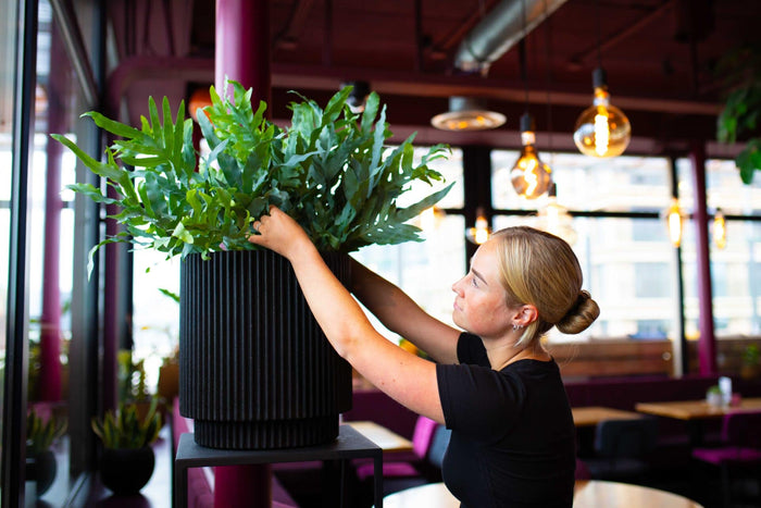 Capi Europe - Vaas cilinder Groove NL - 41x43 - Koper