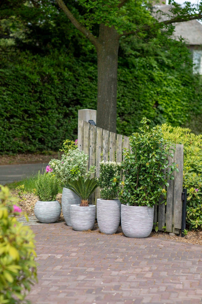 Capi Europe - Pot bol Rib NL - 55x53 - Goud