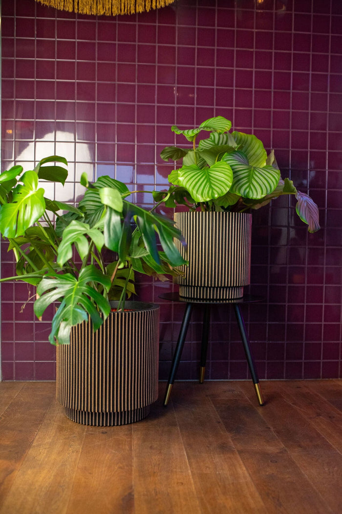 Capi Europe - Vaas cilinder Groove NL - 35x38 - Zwart