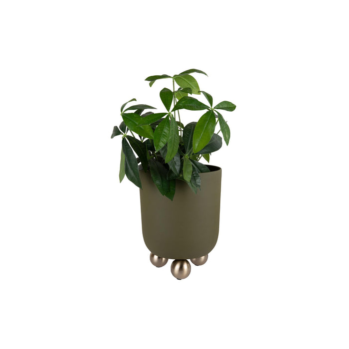 present time - Plant Pot Estilo Large
