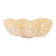 HKliving Glazen Schaal - Oyster