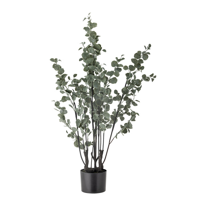 Bloomingville Eucalyptus Kunstplant