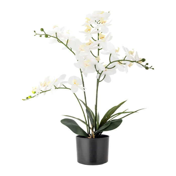 Bloomingville Orchid Kunstplant