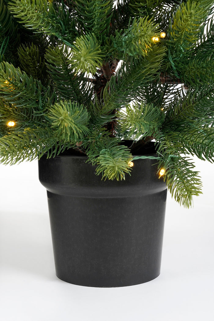 Black Box Trees Nagoya Set van 2 Kerstbomen en 1 Krans - H90 x Ø45 cm
