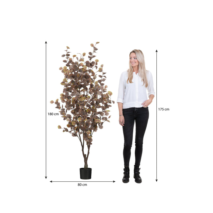 Mica Decorations Eucalyptus Kunstplant - H180 x  Ø80 cm - Brons