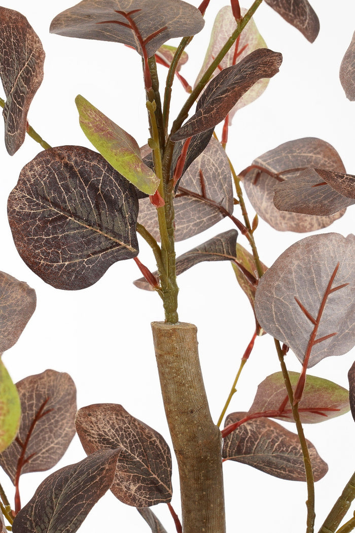 Mica Decorations Eucalyptus Kunstplant - H150 x  Ø30 cm - Brons