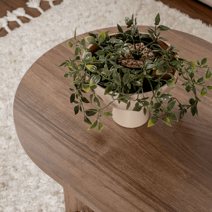 Calicosy - Ovale salontafel B119 cm - IRIS - Walnootlook