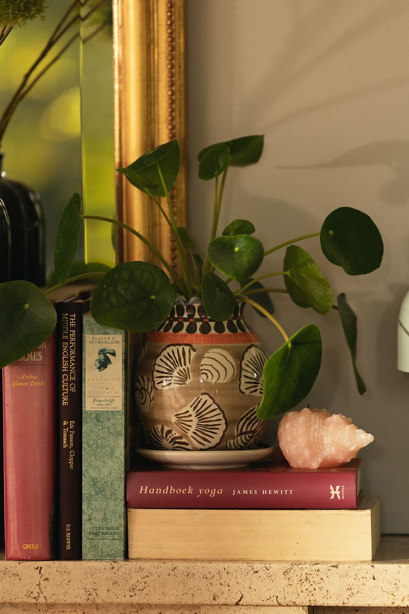 Sissy-Boy Groene vaas met schelpen