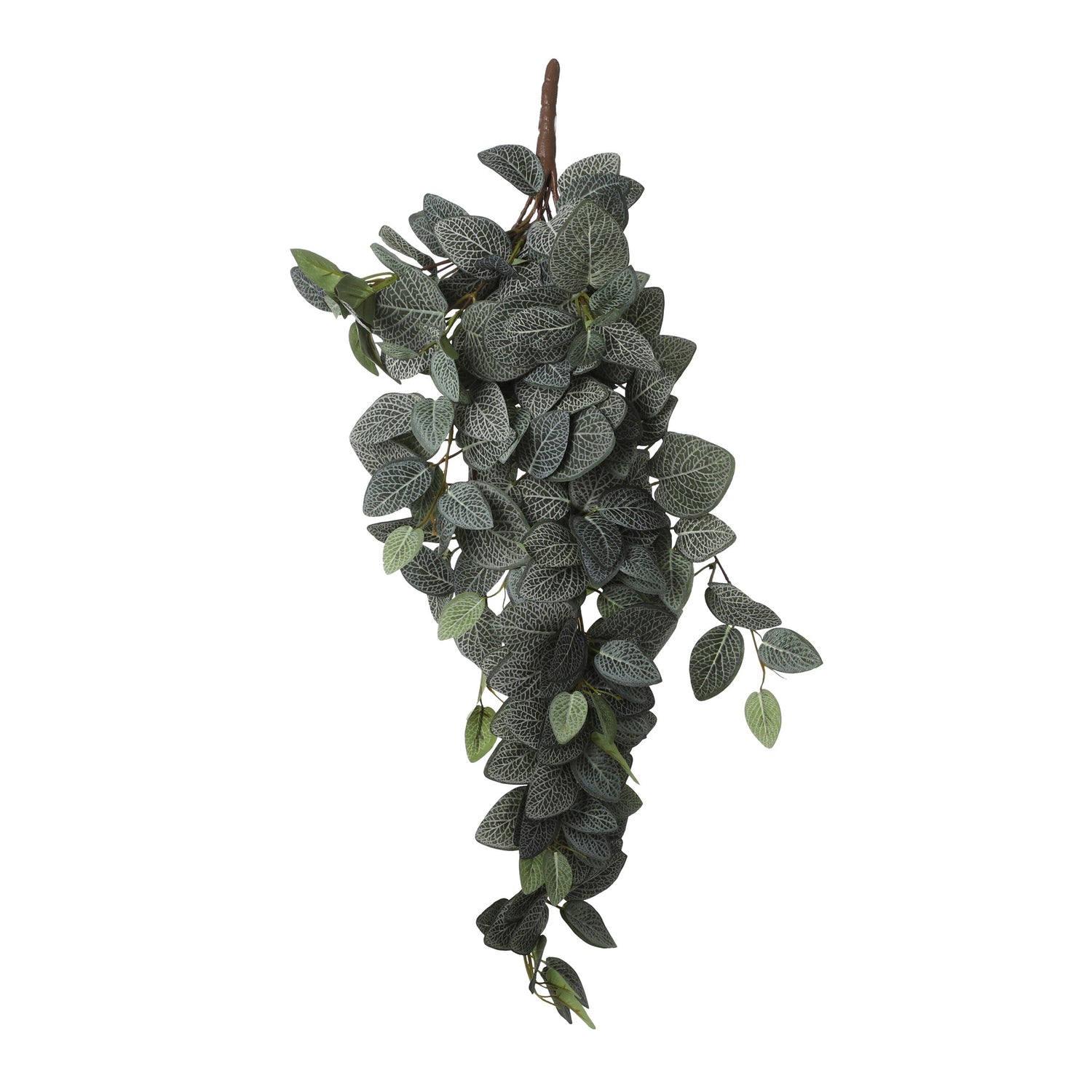 Mica Decorations Fittonia Kunst Hangplant - L15 x B20 x H54 cm - Groen