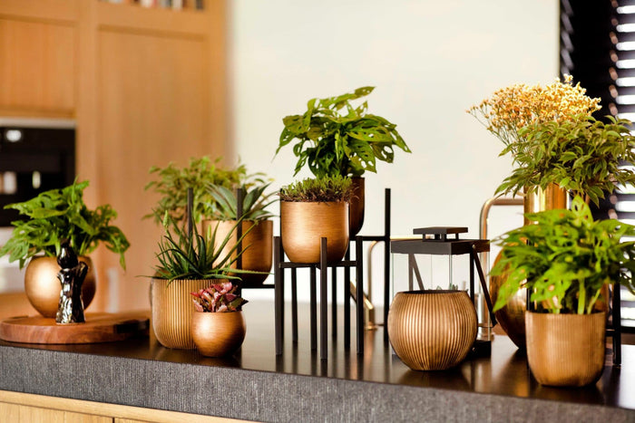 Capi Europe - Pot bol Retro  - 17x15 - Goud