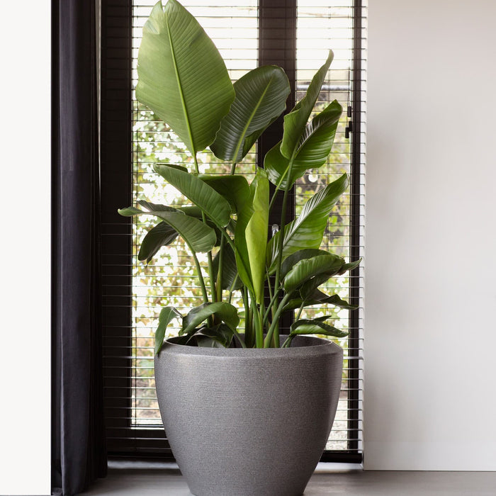 Capi Europe - Pot bol Arc Granite - Wit - 75x60