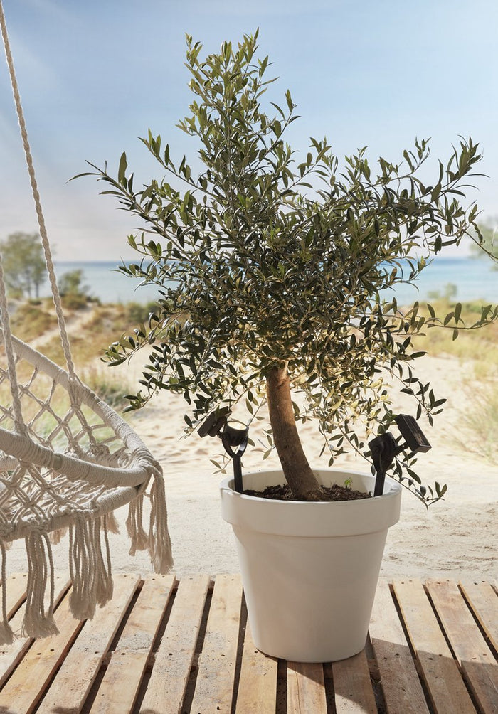 Solar Prikspot - Zamora - 3 stuks - Zwart - LED