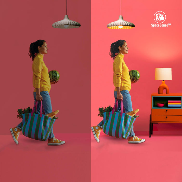 Philips Nightingale wandlamp - zwart - up and downlight