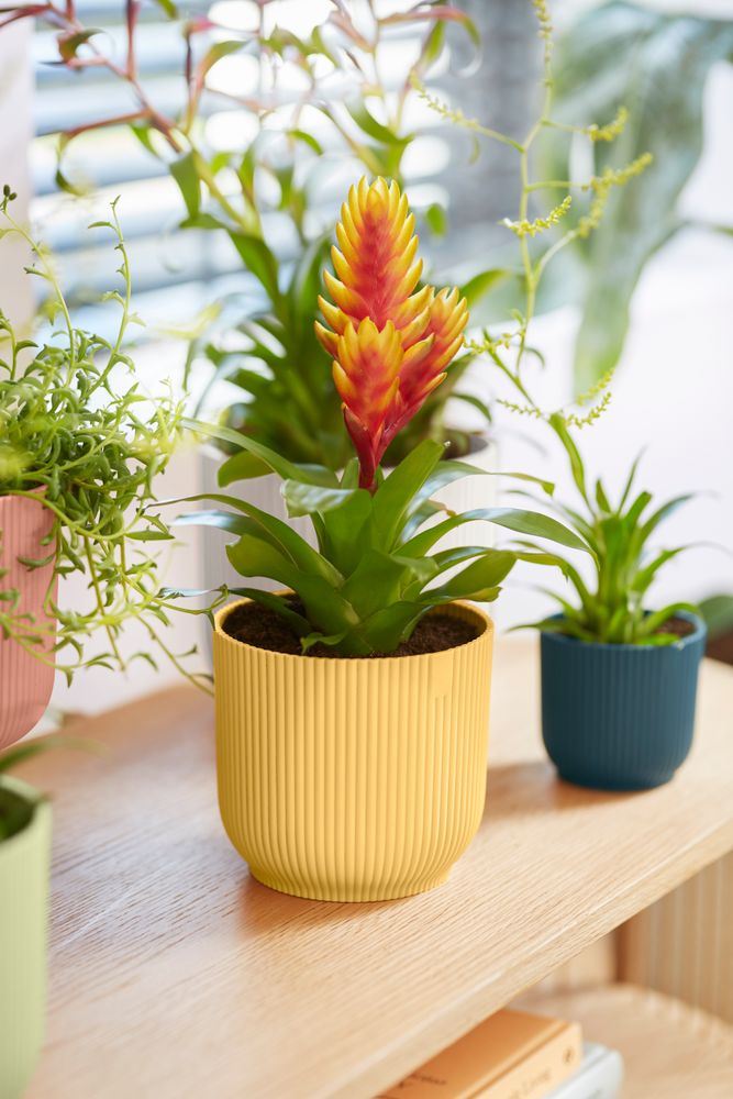 elho Vibes Fold Rond 16 - Botergeel (Geel) - Ø 16 x H 15 cm - Ideaal