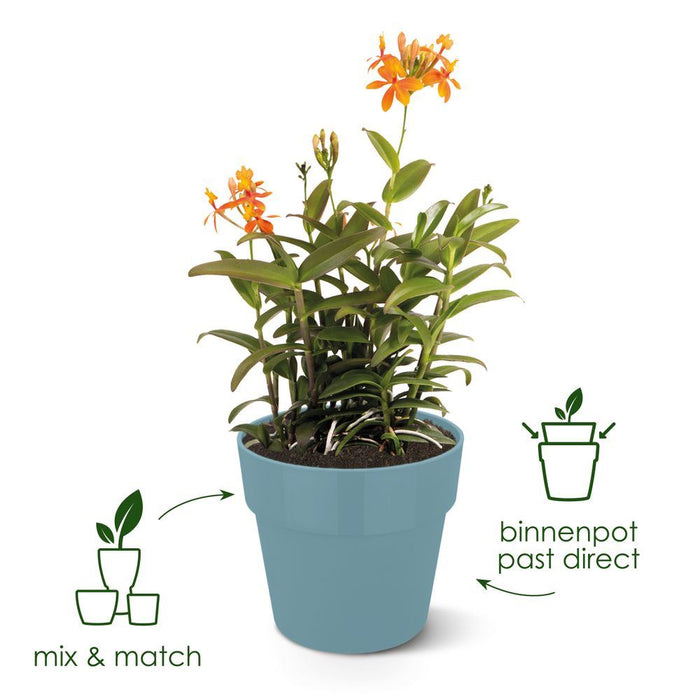 elho B.for Original Rond Wielen 35 - Living black (Zwart) - Ø 35 x H