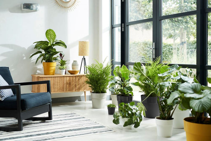 elho B.for Original Rond Wielen 35 - Living black (Zwart) - Ø 35 x H