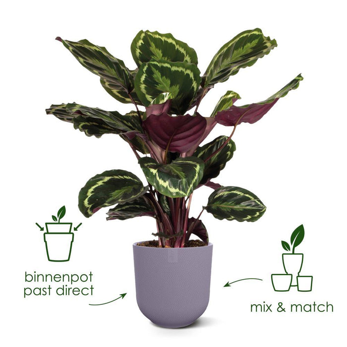 elho Jazz Rond 14 - Lavendel lila (Paars) - Ø 14 x H 13 cm - Ideaal