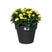 elho Green Basics Top Planter 30 - Living black (Zwart) - Ø 30 x H 25