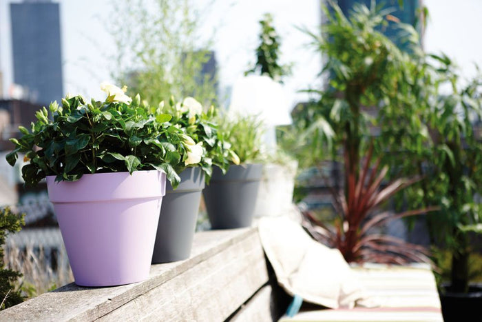 elho Loft Urban Rond 25 - Antraciet (Zwart) - Ø 25 x H 22 cm - Ideaal