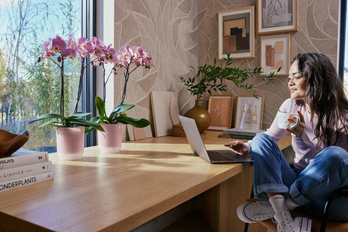 elho Vibes Fold Orchidee Hoog 12,5 - Frosted pink (Roze) - Ø 13 x H 15