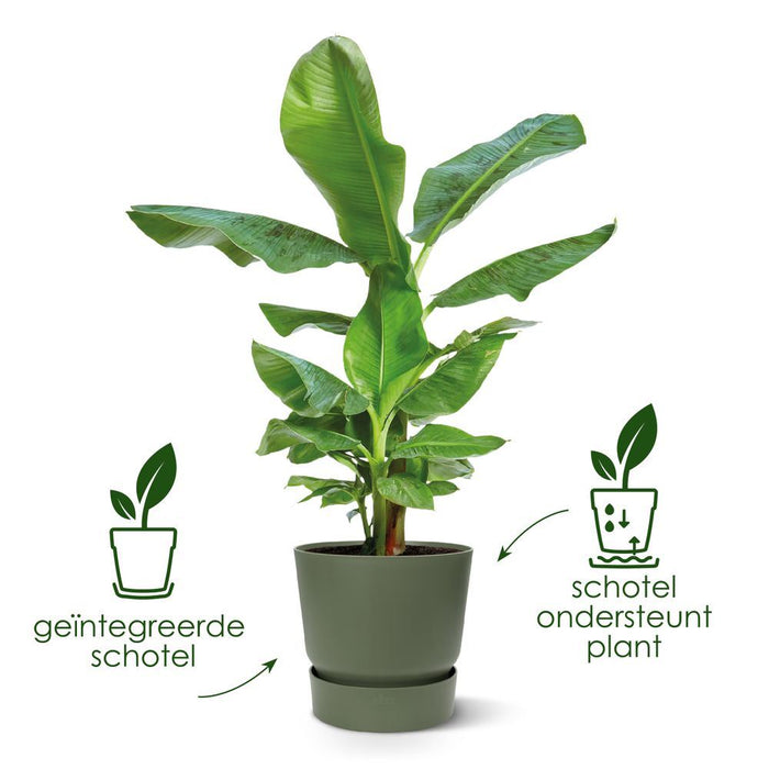 elho Greenville Round 55 - Living black (Zwart) - Ø 55 x H 50 cm -