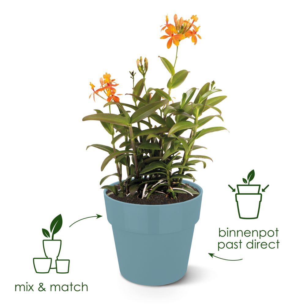 elho B.for Original Rond 30 - Living black (Zwart) - Ø 30 x H 27 cm -